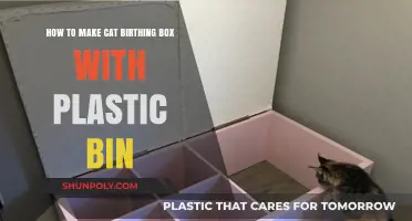 DIY Plastic Bin Cat Birthing Box: Easy Steps for a Cozy Kitten Haven
