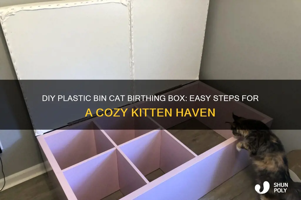 how to make cat birthing box with plastic bin