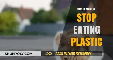 Prevent Your Cat from Eating Plastic: Effective Strategies and Tips