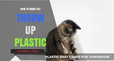 Emergency Guide: Safely Inducing Vomiting in Cats After Plastic Ingestion