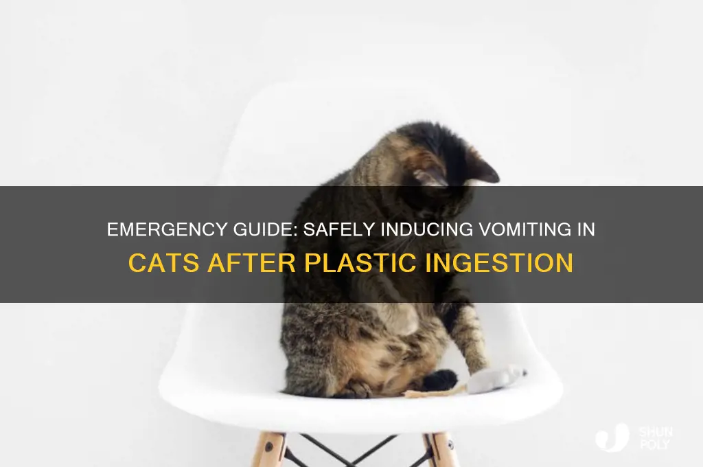 how to make cat throw up plastic