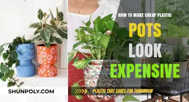 Transforming Budget Plastic Pots into High-End Garden Decor