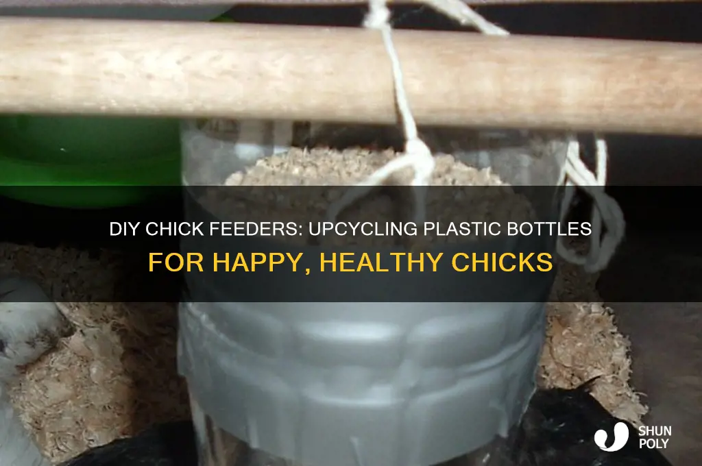 how to make chick feeders using plastic bottles