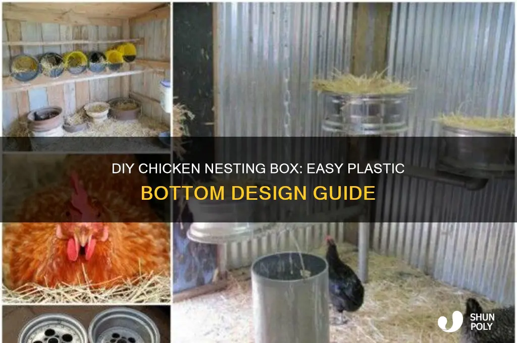 how to make chicken nesting box with plastic bottom