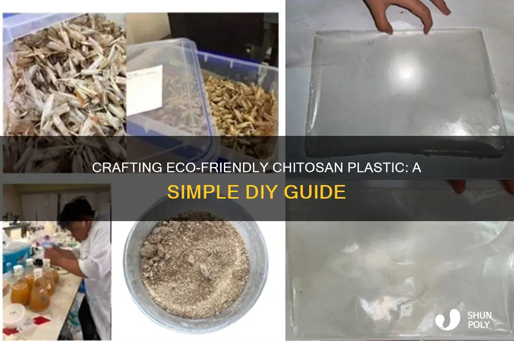 how to make chitosan plastic