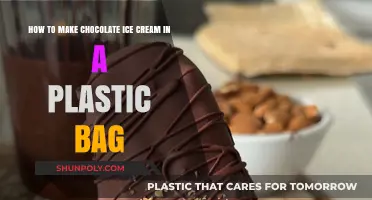 Easy Homemade Chocolate Ice Cream in a Plastic Bag Recipe