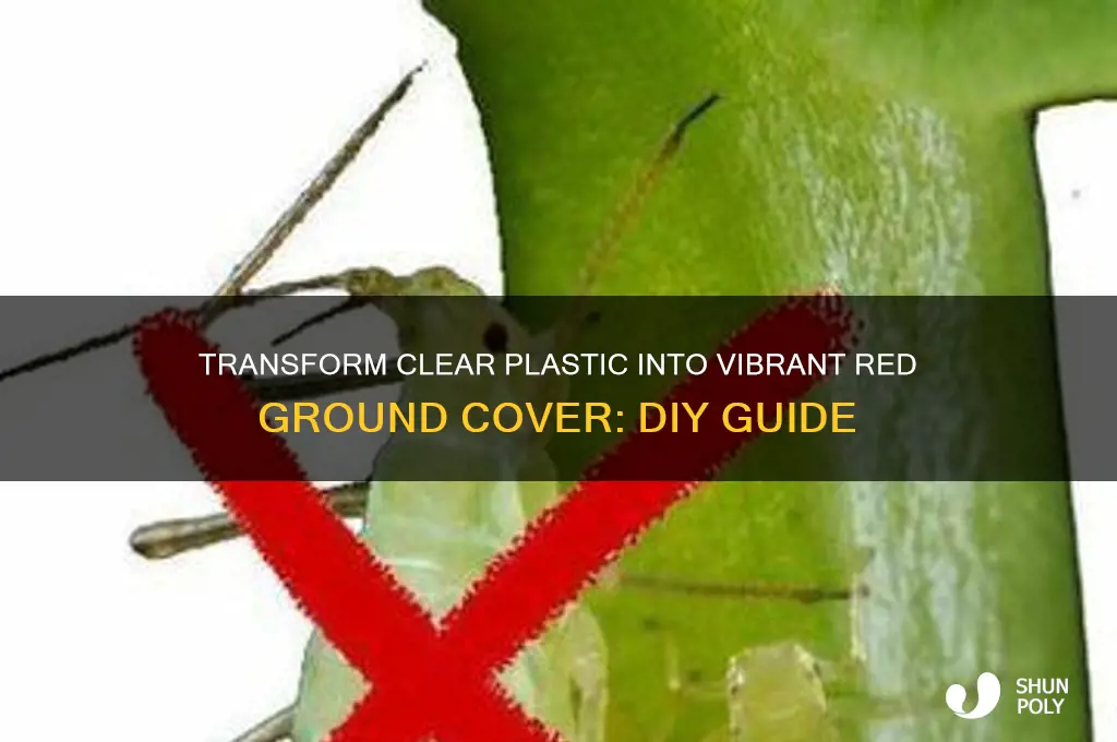 how to make clear plastic into red ground cover