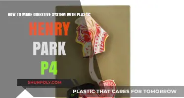 Crafting a Digestive System Model with Plastic Henry Park P4
