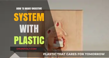 Crafting a Digestive System Model Using Plastic Materials: A DIY Guide
