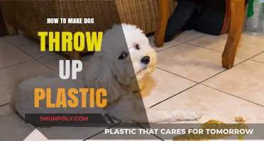 Emergency Guide: Safely Inducing Vomiting in Dogs After Plastic Ingestion
