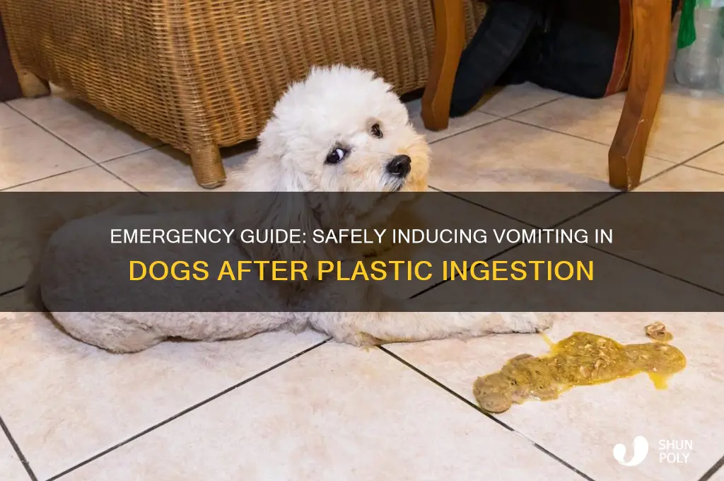 how to make dog throw up plastic
