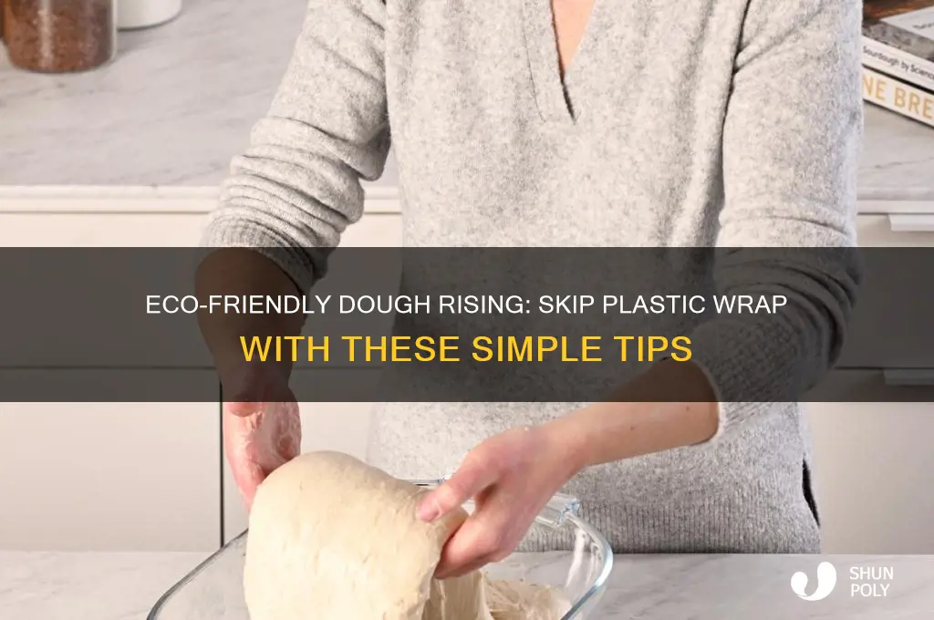 how to make dough rise without plastic wrap