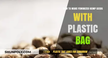 DIY Feminized Hemp Seeds: Simple Plastic Bag Method Guide