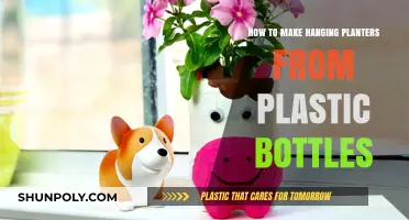 Eco-Friendly DIY: Crafting Hanging Planters from Recycled Plastic Bottles
