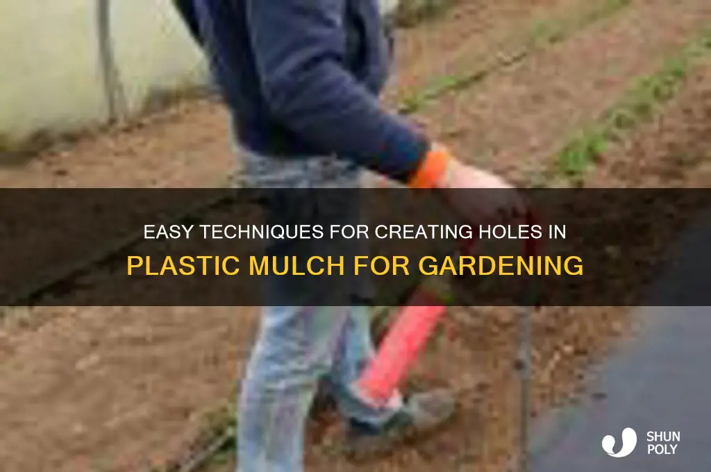 how to make holes in plastic mulch