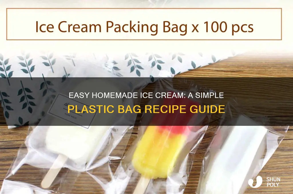 how to make homemade icecream with plastic bags