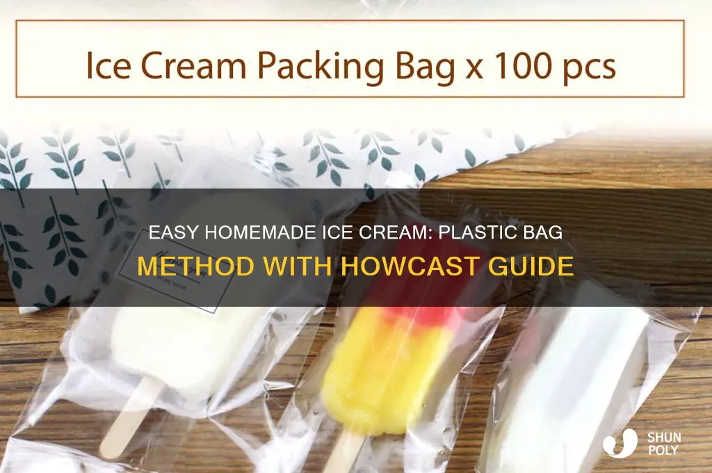 how to make ice cream in a plastic bag howcast
