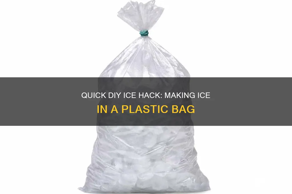 how to make ice in plastic bag
