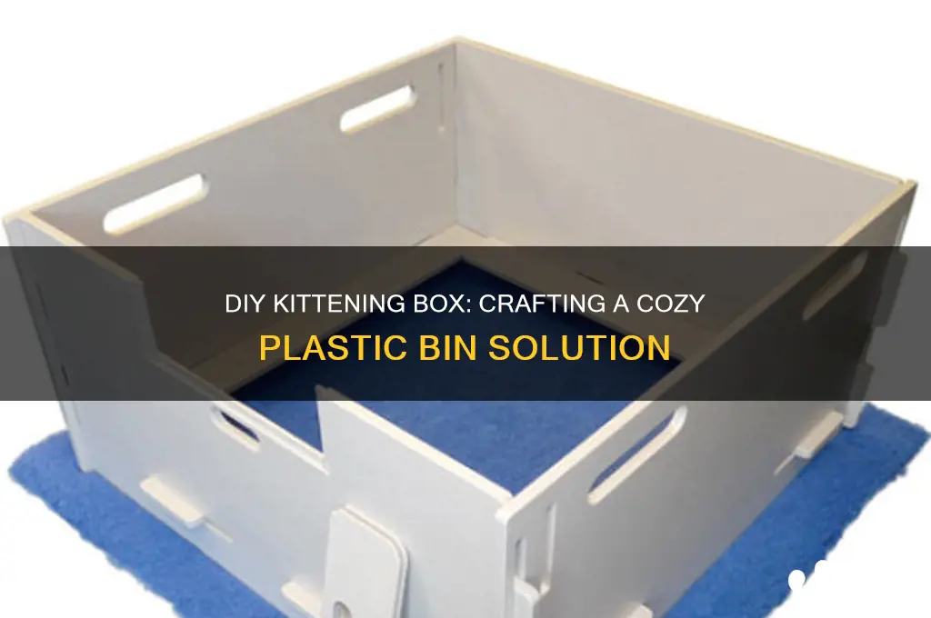 how to make kittening box with plastic bin