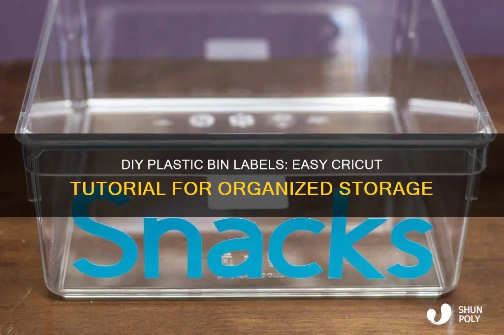 how to make labels for plastic bins cricuit