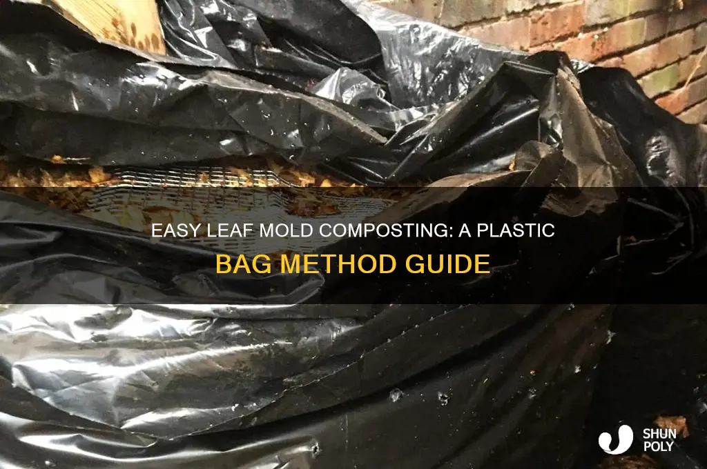 how to make leaf mold in plastic bags