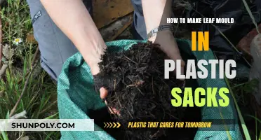 Easy Leaf Mould: Plastic Sack Method for Rich Garden Compost