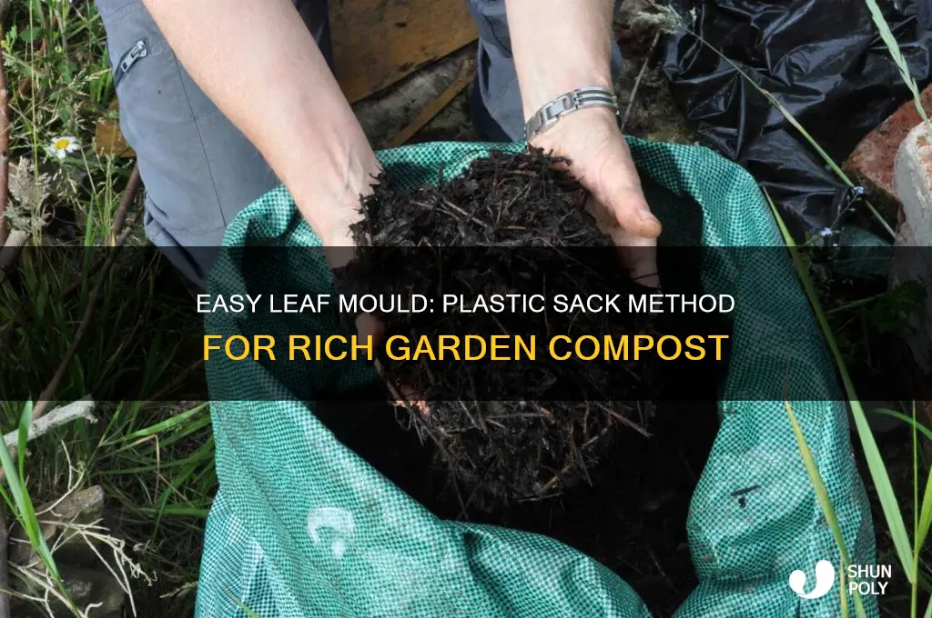 how to make leaf mould in plastic sacks