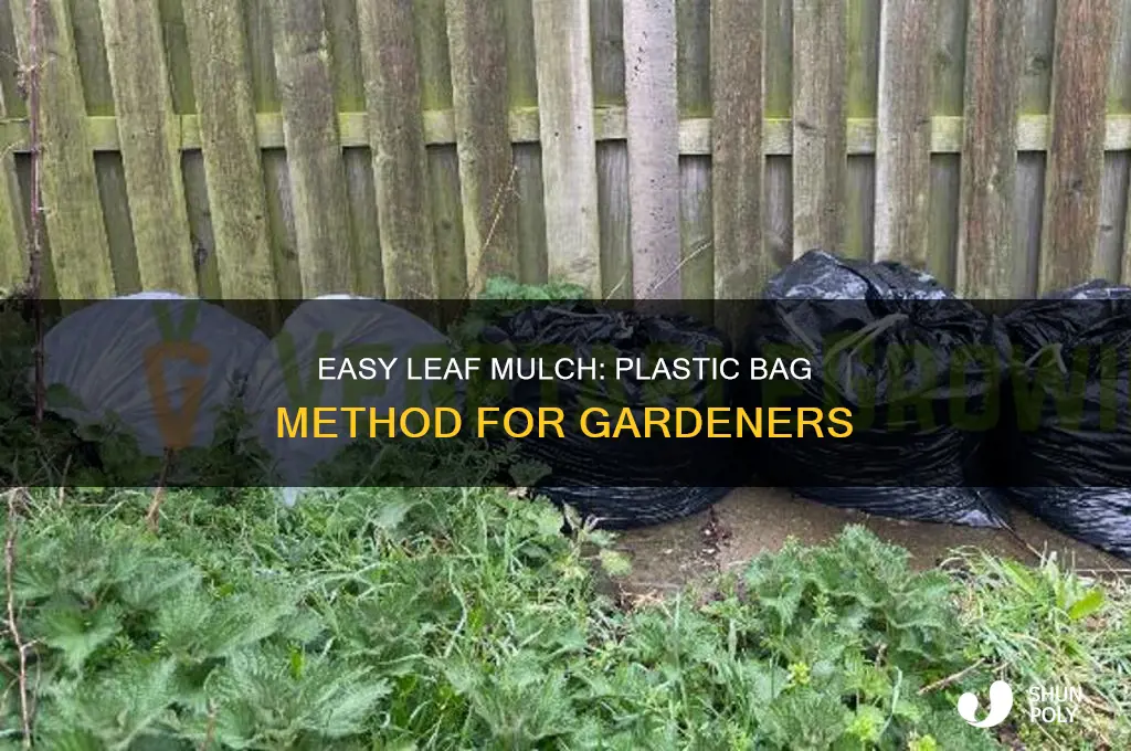 how to make leaf mulch in plastic bags