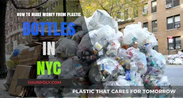 Turn NYC's Plastic Bottles into Cash: A Recycling Money Guide