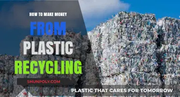 Profitable Plastic Recycling: Turning Waste into Wealth with Smart Strategies