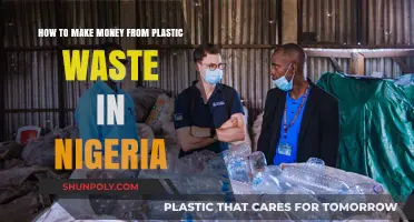 Turning Plastic Waste into Profit: A Nigerian Guide to Recycling Wealth