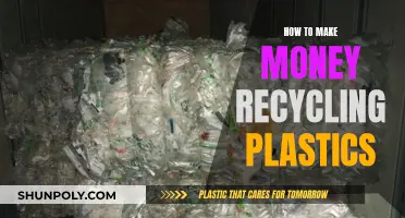 Lucrative Plastic Recycling: Make Money, Save the Planet