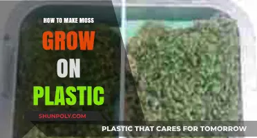 Encouraging Moss Growth on Plastic Surfaces: A Step-by-Step Guide