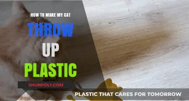 Emergency Steps to Safely Induce Vomiting in Cats After Plastic Ingestion