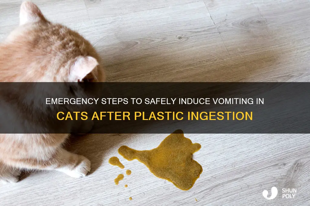 how to make my cat throw up plastic