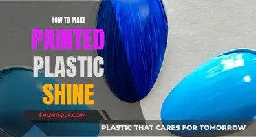 Make Your Painted Plastic Shine Brightly