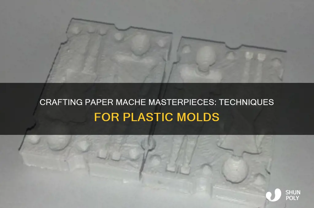 how to make paper mache on plastic mold