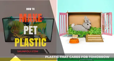 DIY Pet Plastic Creation: Simple Steps for Eco-Friendly Crafting