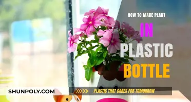 Eco-Friendly Gardening: Creating a Plastic Bottle Planter Step-by-Step