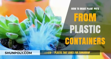 Transforming Plastic Containers into Plant Pots