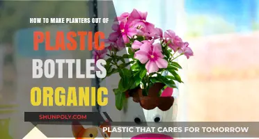 Eco-Friendly Gardening: Crafting Organic Planters from Plastic Bottles