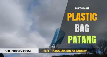 DIY Plastic Bag Patang: Easy Steps to Craft Your Own Kite