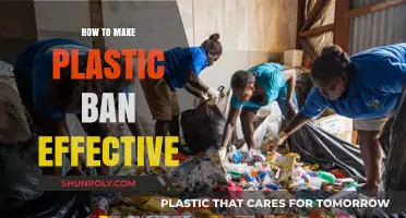 Effective Plastic Ban Strategies: Empowering Communities for a Greener Future