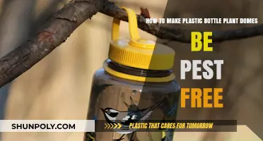 Keep Your Plastic Bottle Plant Domes Pest-Free with These Simple Tips
