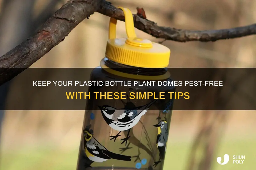 how to make plastic bottle plant domes be pest free