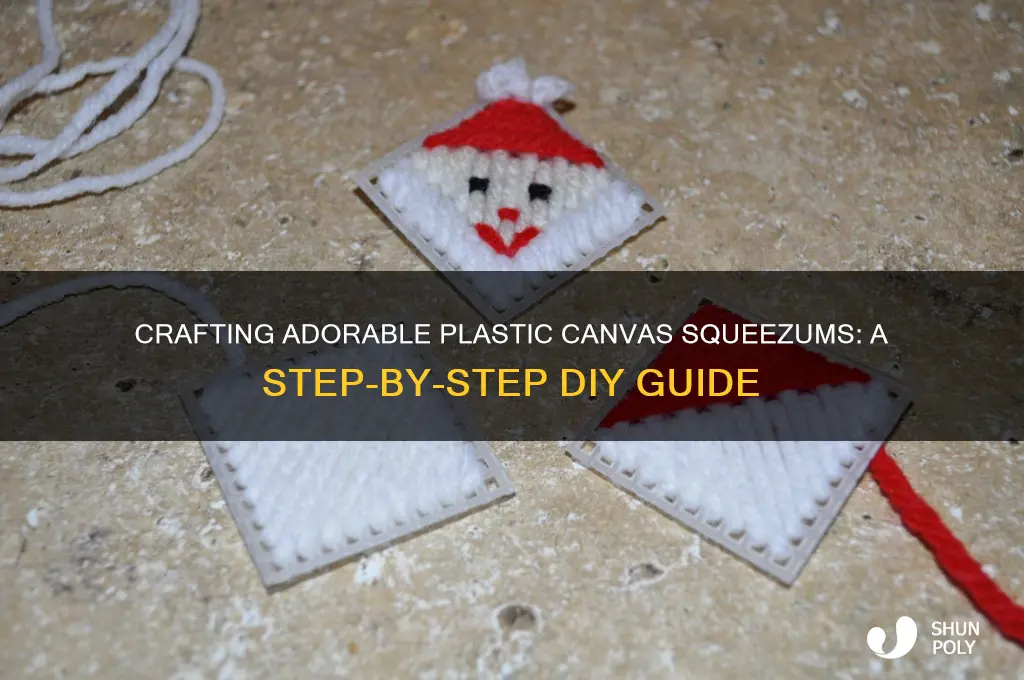 how to make plastic canvas squeezums