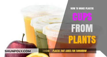 Eco-Friendly Innovation: Crafting Plant-Based Plastic Cups for a Greener Future