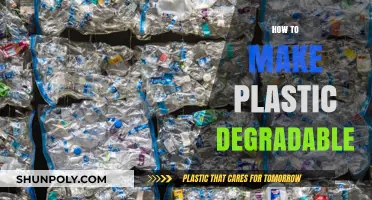 Innovative Methods to Create Eco-Friendly, Biodegradable Plastics