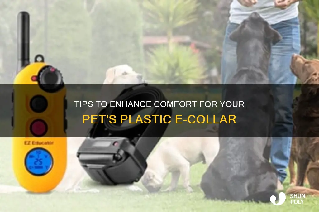 how to make plastic e collar more comfortable