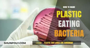 Creating Plastic-Eating Bacteria: A Step-by-Step Guide to Eco-Innovation